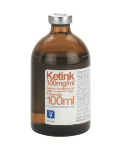 Ketink pt web